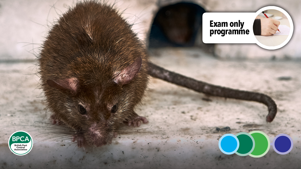 RSPH Level 2 Award in Pest Management take your exam with BPCA